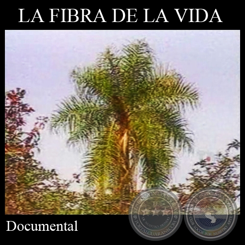 LA FIBRA DE LA VIDA - Documental de JOAQUÍN SMITH